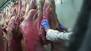 دول أوروبية ضحية استيراد آلاف الأطنان من اللحوم غير الصالحة للاستهلاك الآدمي
