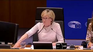 Irish MEP tells colleagues to be respectful, they're not in UK Commons