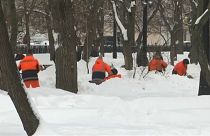 Μόσχα: Παιχνίδι με το χιόνι στον ζωολογικό κήπο