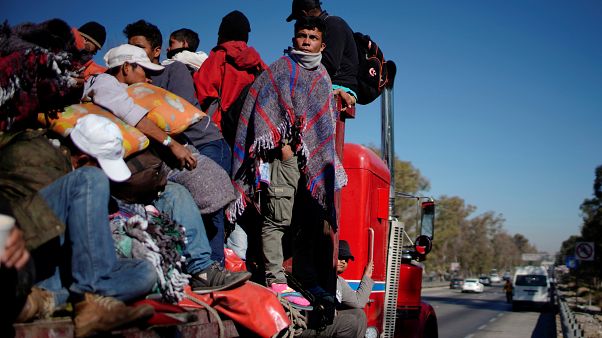 فخ لمن يسهيل بقاء مهاجرين بصفة غير قانونية في الولايات المتحدة فخ لمن يسهيل بقاء مهاجرين بصفة غير قانونية في الولايات المتحدة