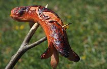 بناء متحف للنقانق مكان معسكر اعتقال نازي في ألمانيا