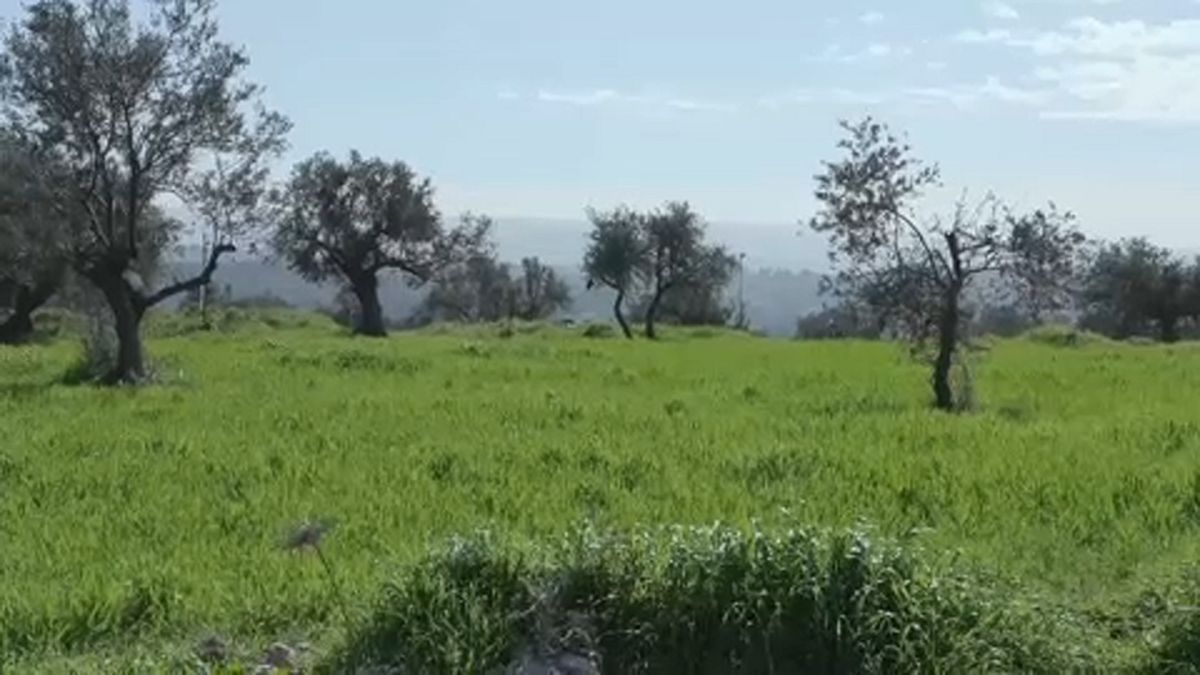 شاهد: "مزرعة أمُّ سليمان.".. ملتقى عشّاق الطبيعة المحاطة بالمستوطنات الإسرائيلية 