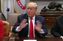 Amerikalı senatörlerden Trump’a “Suriye’de YPG’yi koruyalım” çağrısı