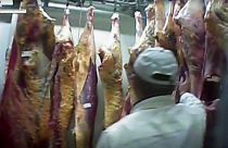 Polonya'da sahte et skandalı