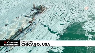 ABD: Kutup girdabı soğukları yaşamı felç etti