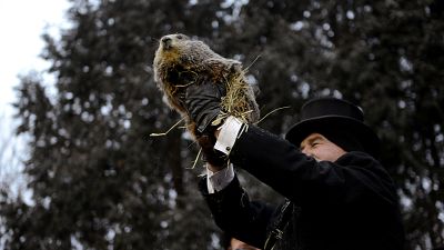 Groundhog Day: 'Punxsutawney Phil' predicts early spring