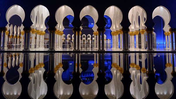 La moschea di Sheikh Zayed La moschea di Sheikh Zayed