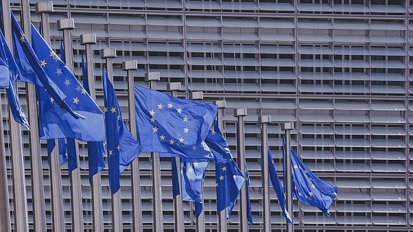 Как европейцы выбирают общий парламент Как европейцы выбирают общий парламент