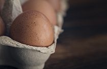 Rätsel auf Instagram gelöst: Das steckt hinter dem Ei mit 50 Mio Likes