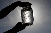 The unknown health effects of microplastics and why manufacturers are still using them intentionally