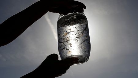 The unknown health effects of microplastics and why manufacturers are still using them intentionally