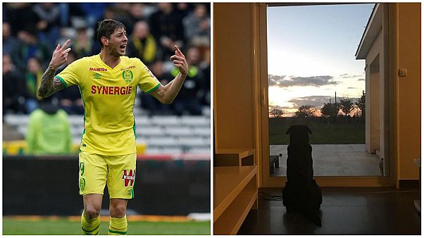 Emiliano Sala'nın köpeği Nala da sahibinin eve dönmesini bekliyor Emiliano Sala'nın köpeği Nala da sahibinin eve dönmesini bekliyor