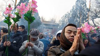 China feiert das „Jahr des Schweins“