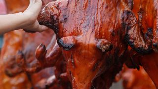 Espanha e Portugal exportam carne de porco e presunto para a China