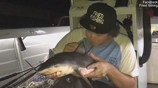 Video of shark used as bong lands Australian fisherman in hot water