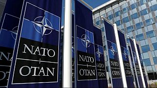 Türkiye'nin 70'inci yılını doldurduğu NATO nasıl çalışıyor, İttifak'ın hedefleri ne?