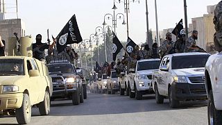 Eski Fransız Belediye Başkanı: IŞİD militanları ülkeye ihanetten idrarlı kurşunla vurulmalı
