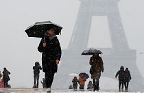 January 2019 fourth warmest on record