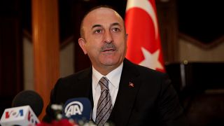 Çavuşoğlu: Türkiye, Suriye'den çekilme süreci için ABD ile ortak görev gücü kurdu