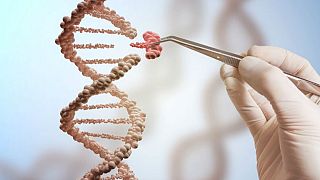 Yetişkin hastalarda ilk DNA mühendisliği tedavisi uygulandı