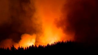 Százakat evakuálnak a tűz miatt Új-Zélandon