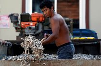 Tailândia combate pesca ilegal