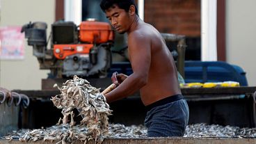 Tailândia combate pesca ilegal