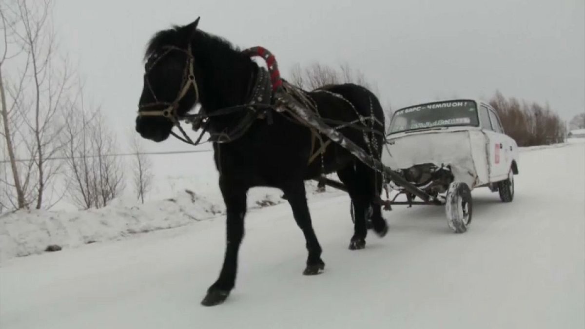 شاهد: معلم روسي يخترع "السيارة الحصان" 