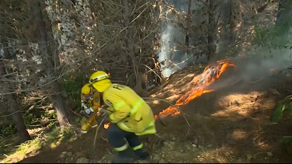 La Nouvelle-Zélande en proie aux flammes La Nouvelle-Zélande en proie aux flammes