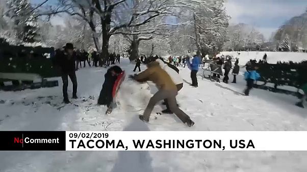 Centenas em batalha de bolas de neve Centenas em batalha de bolas de neve