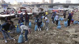 Opération grand nettoyage sur les rives du Nil 
