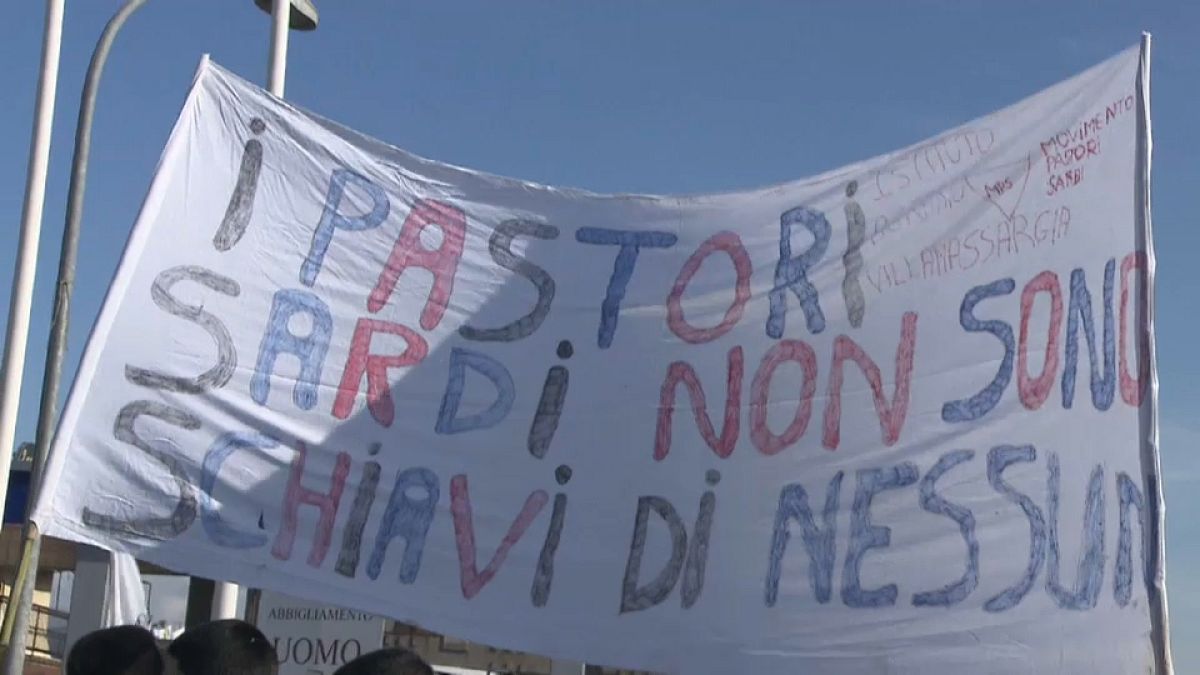 Sardegna, continua la protesta dei produttori di latte