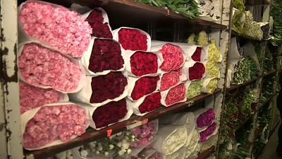 Brexit: danni anche al mercato olandese dei fiori 