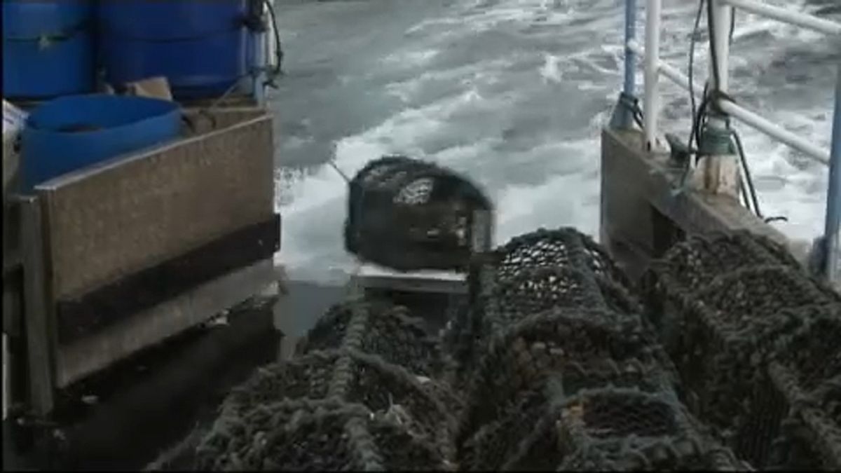 Quotas de pesca pouco sustentáveis na Suécia