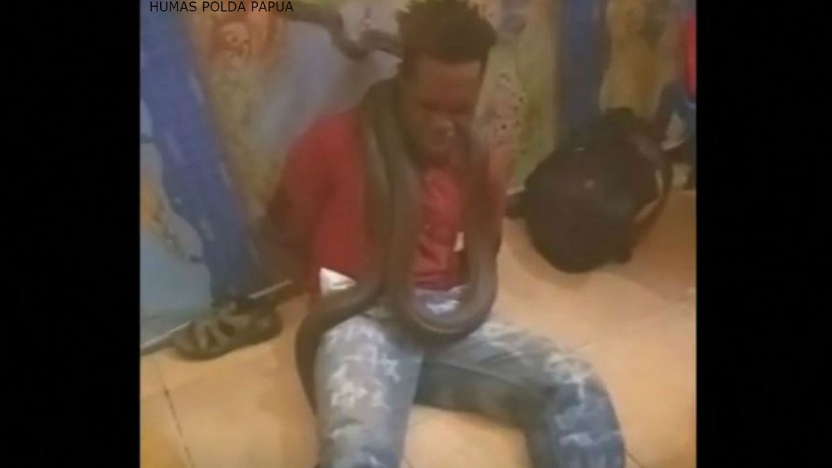 Indonesian police apologises after using snake to extract confession from suspect