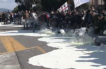 60 Cent pro Liter: Schäfer auf Sardinien gegen zu niedrige Milchpreise