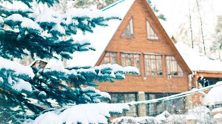 Russian Dachas: How the humble summer cottage became an institution