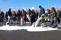 Felüljárókról öntötték a tejet az autósokra a szardíniai pásztorok