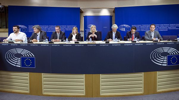 Eurosceptic parties could win a third of seats or more in May elections: Study Eurosceptic parties could win a third of seats or more in May elections: Study