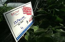 Féláron árul élelmiszert a török kormány