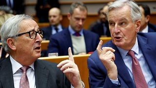 AB Brexit müzakerecisi Barnier: İngiltere bir şeyler vermek zorunda