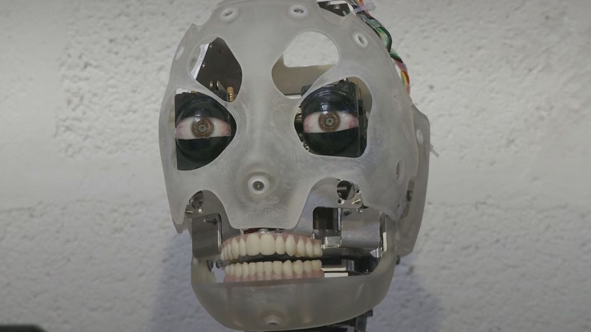 Встречайте Аи-ду - британского робота-художника