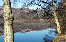 Brexit-Roadtrip: Wie ist die Stimmung in Schottland?