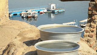 فيديو: جزيرة مصرية يهجرها أهلها بسبب شح المياه والخدمات