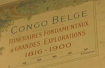 La ONU pide a Bélgica que reconozca "el alcance" de su pasado colonial