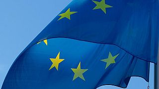 Französische Abgeordnete stimmen für obligatorische EU-Flaggen in Klassenzimmern
