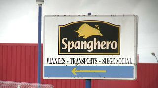 "Lasagnes au cheval" : un an ferme requis contre l'ex-directeur de Spanghero