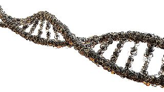خبراء يضعون معايير عالمية للسيطرة على تعديل الجينات البشرية