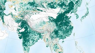 ناسا: کرۀ زمین با تلاش‌های چین و هند سبزتر شده است