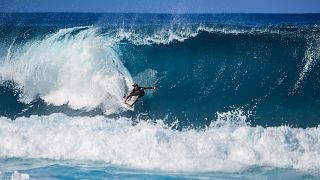 Avustralya'da köpek balığının saldırısına uğrayan sörfçünün durumu ciddi